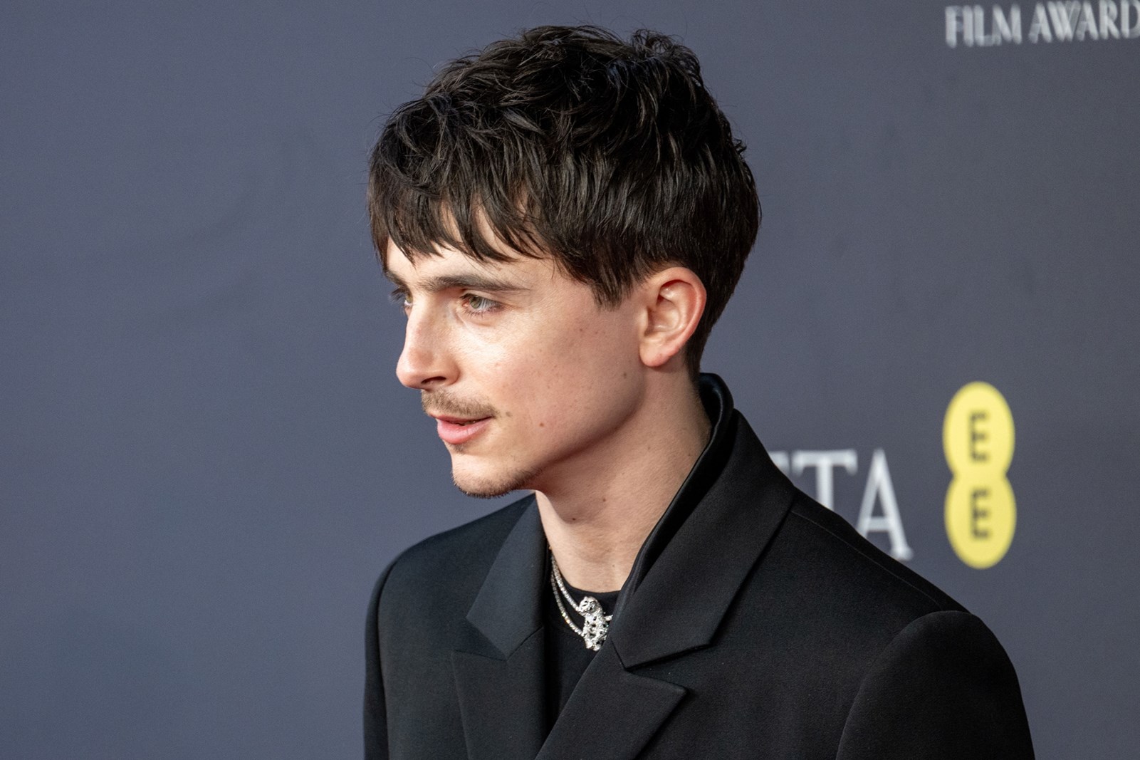 Timothee Chalamet