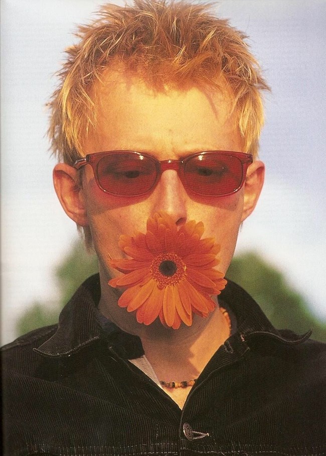 Yorke