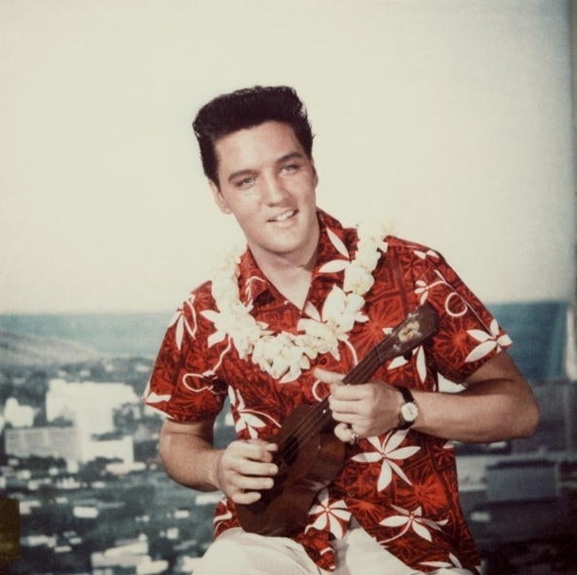 Elvis-Esq-06