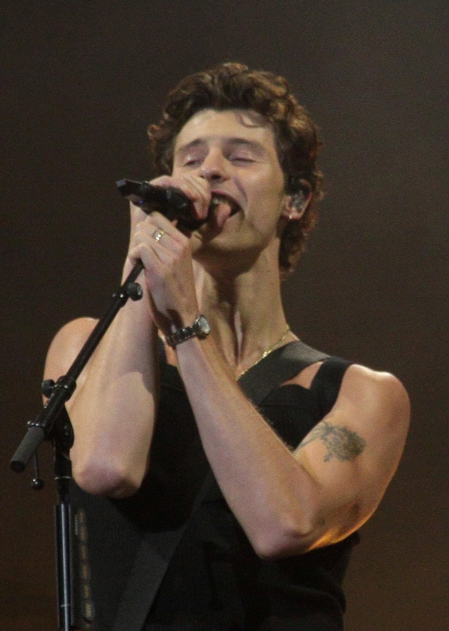Shawn Mendes