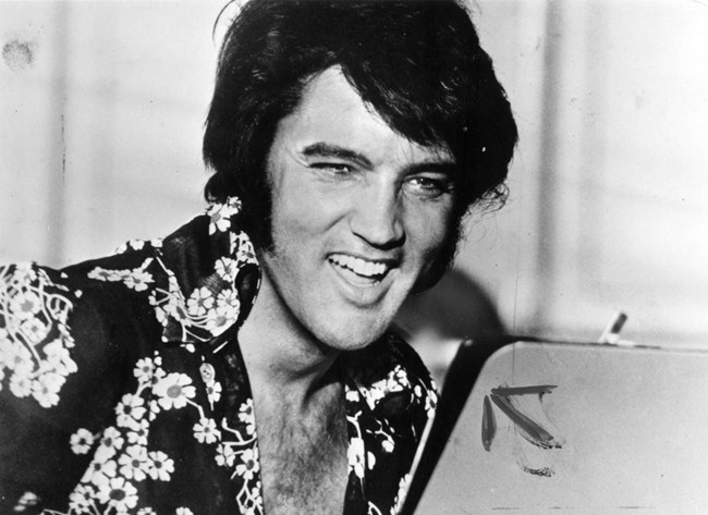 Elvis-Esq-10