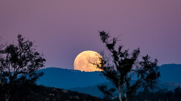 Dark Side of The Moon: 10+1 τραγούδια για την υπερπανσέληνο