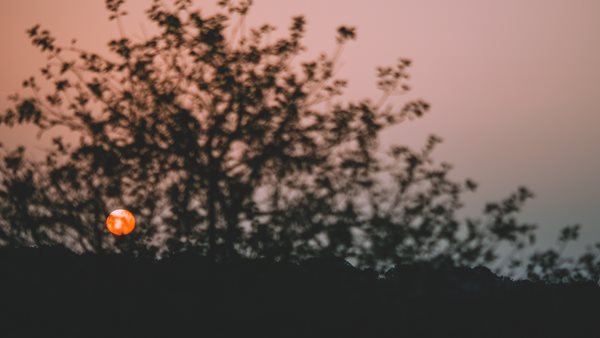 Στις 18/07 η Αφροδίτη στον Καρκίνο – Αναλυτικές προβλέψεις για κάθε ζώδιο