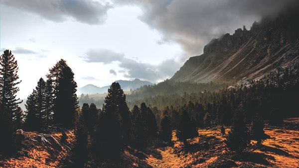 Πολύ υψηλή επικινδυνότητα πυρκαγιών στα ανατολικά ηπειρωτικά