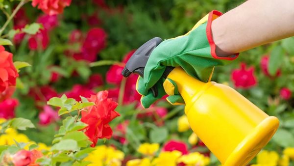 Τα παπούτσια στην πόρτα