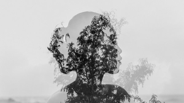 Τα 3 ζώδια που φαίνονται δυναμικά αλλά στην πραγματικότητα δεν είναι