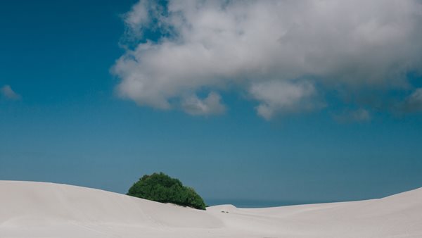 Καιρός - Καύσωνες με μεγάλη διάρκεια κατά την περίοδο 1981-2021